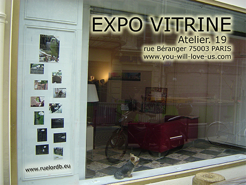 expo vitrine